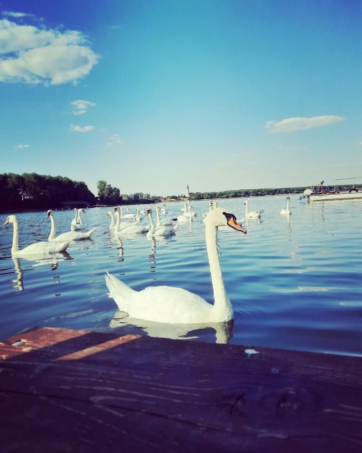 Вілла Kuca Ribarev San Beocin Екстер'єр фото